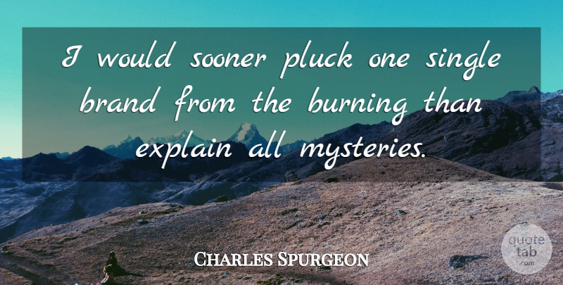 Charles Spurgeon Quote About Burning, Mystery, Salvation: I Would Sooner Pluck One...