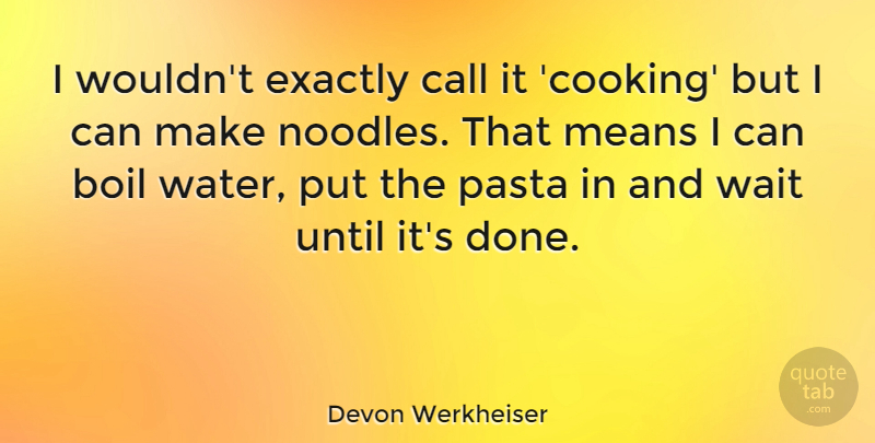 Devon Werkheiser Quote About Mean, Past, Water: I Wouldnt Exactly Call It...