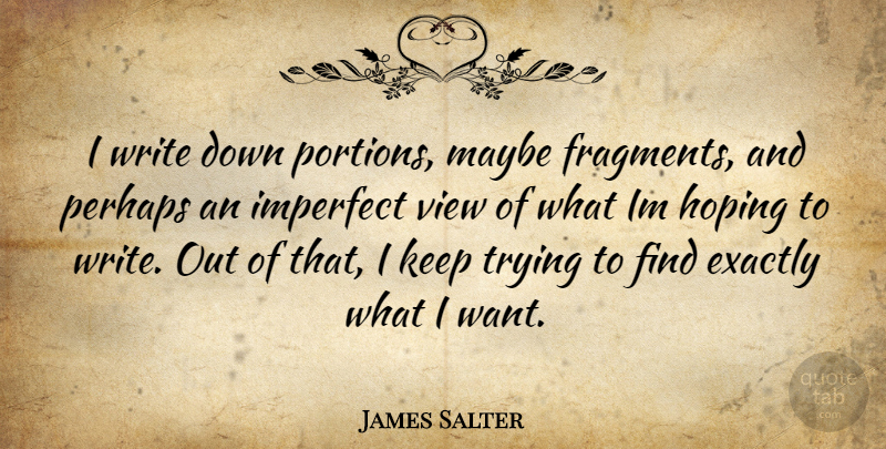 James Salter Quote About Writing, Views, Trying: I Write Down Portions Maybe...