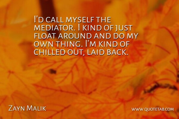 Zayn Malik Quote About Chilled: Id Call Myself The Mediator...