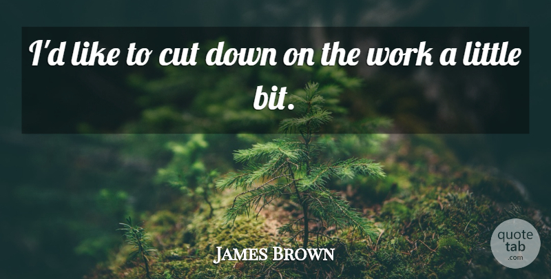 James Brown Quote About Work: Id Like To Cut Down...