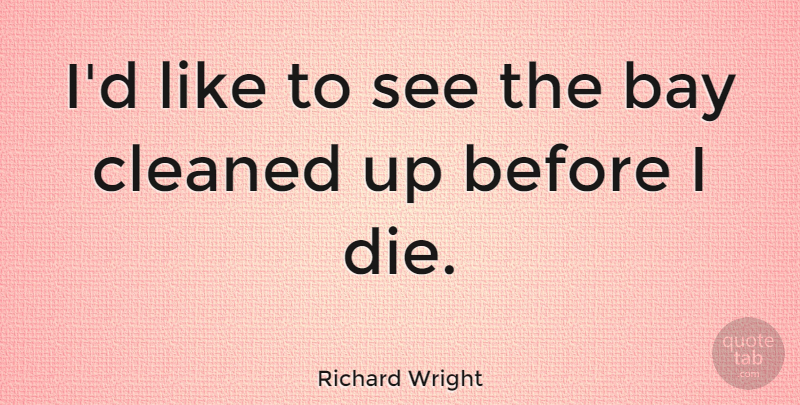 Richard Wright Quote About American Novelist: Id Like To See The...