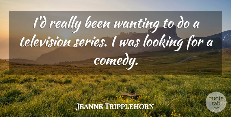 Jeanne Tripplehorn Quote About Television, Comedy, Series: Id Really Been Wanting To...