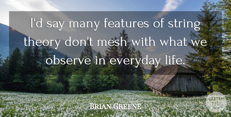 Brian Greene Quote About Everyday, Strings, Theory: Id Say Many Features Of...