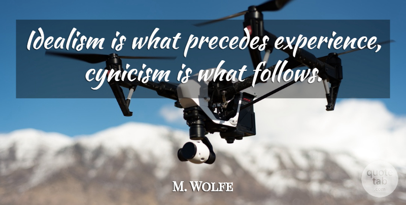 M. Wolfe Quote About Cynicism, Idealism, Precedes: Idealism Is What Precedes Experience...