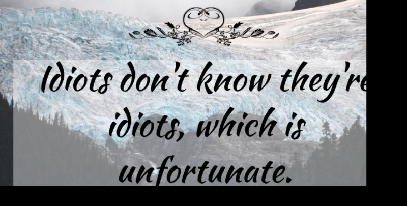 Walter Dean Myers Quote About Idiot, Unfortunate, Knows: Idiots Dont Know Theyre Idiots...