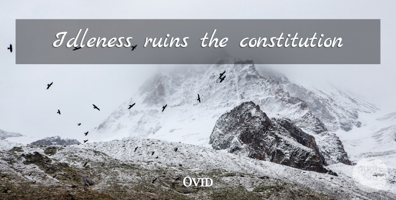 Ovid Quote About Ruins, Constitution, Idleness: Idleness Ruins The Constitution...