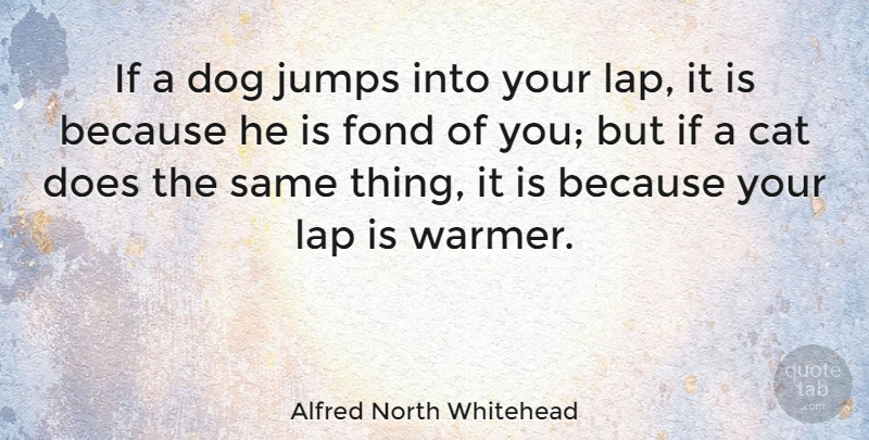 Alfred North Whitehead Quote About Dog, Cat, Animal: If A Dog Jumps Into...