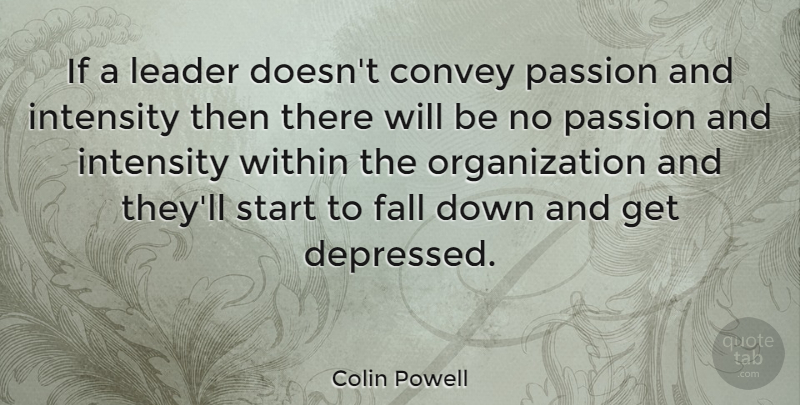 Colin Powell Quote About Fall, Passion, Organization: If A Leader Doesnt Convey...