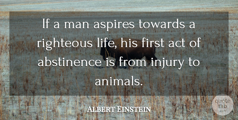 Albert Einstein Quote About Zoos, Cat, Animal: If A Man Aspires Towards...