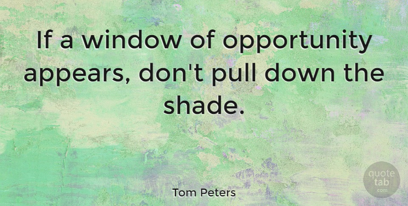 Tom Peters Quote About Inspirational, Success, Opportunity: If A Window Of Opportunity...