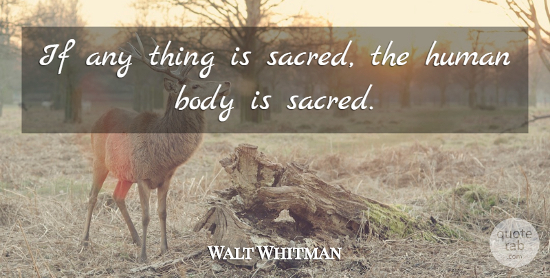 Walt Whitman Quote About Inspiring, Sacred Art, Leaves Of Grass: If Any Thing Is Sacred...