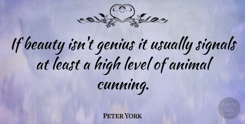 Peter York Quote About Animal, Genius, Levels: If Beauty Isnt Genius It...