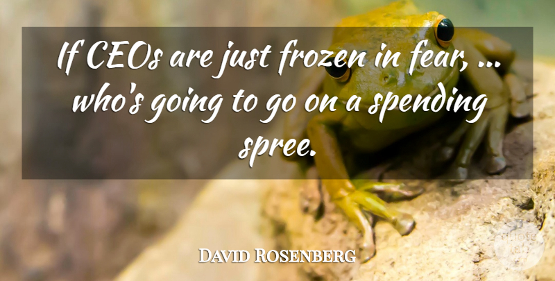 David Rosenberg Quote About Ceos, Fear, Frozen, Spending: If Ceos Are Just Frozen...