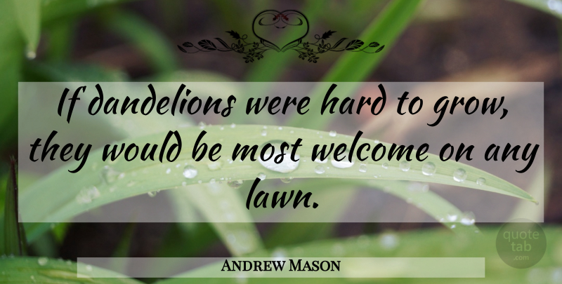 Andrew Mason Quote About Flower, Bouquets, Dandelions: If Dandelions Were Hard To...