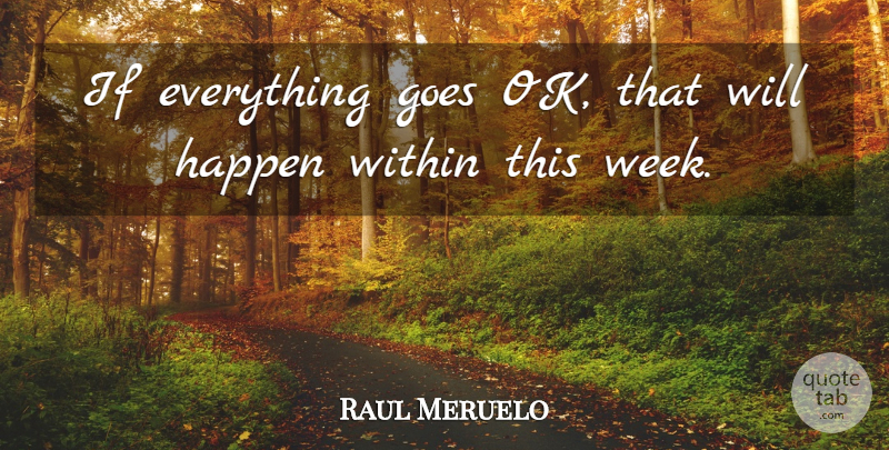 Raul Meruelo Quote About Goes, Happen, Within: If Everything Goes Ok That...