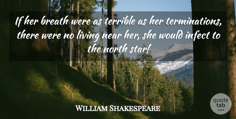 William Shakespeare Quote About Stars, North Star, Terrible: If Her Breath Were As...