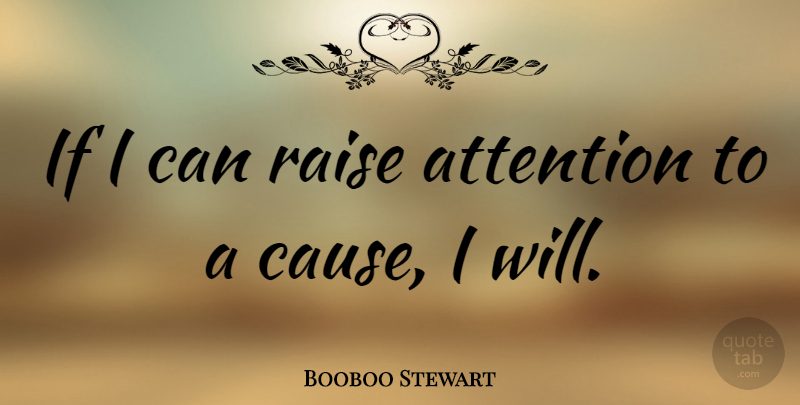 Booboo Stewart Quote About Causes, Attention, Raises: If I Can Raise Attention...