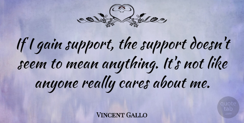 Vincent Gallo Quote About Mean, Support, Gains: If I Gain Support The...