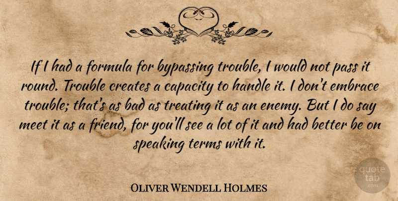 Oliver Wendell Holmes Quote About Adversity, Bad, Capacity, Creates, Embrace: If I Had A Formula...