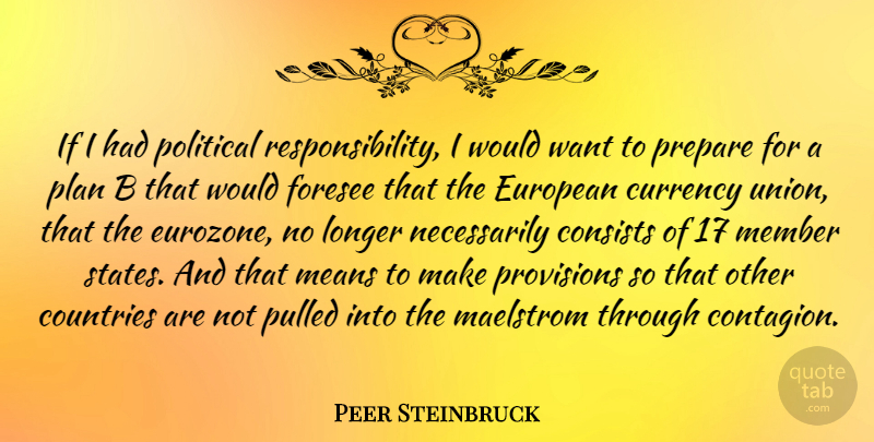 Peer Steinbruck Quote About Country, Mean, Responsibility: If I Had Political Responsibility...
