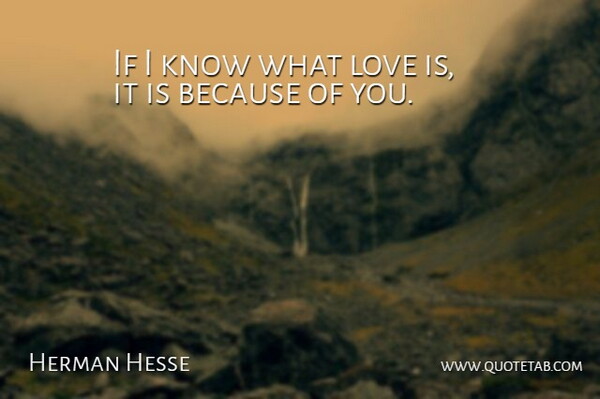 Hermann Hesse Quote About Love, Life, Anniversary: If I Know What Love...