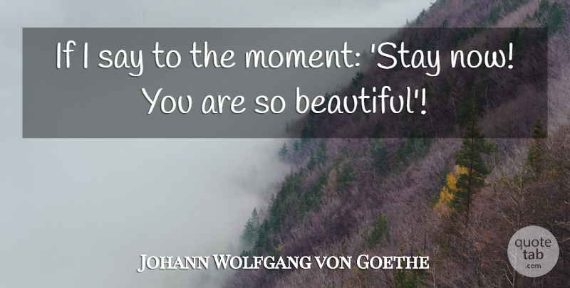 Johann Wolfgang von Goethe Quote About Beautiful, Moments, Miscellaneous: If I Say To The...