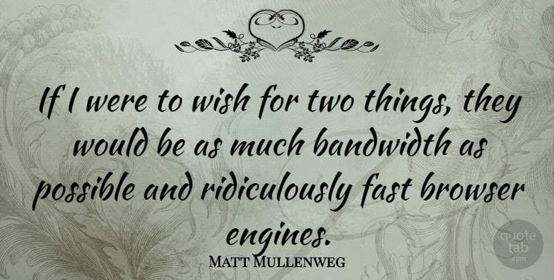 Matt Mullenweg Quote About Two, Wish, Would Be: If I Were To Wish...