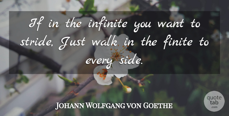 Johann Wolfgang von Goethe Quote About Want, Sides, Infinite: If In The Infinite You...