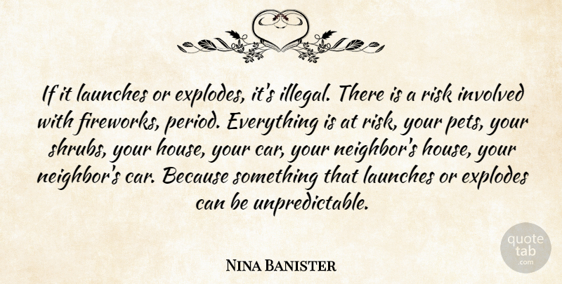 Nina Banister Quote About Involved, Risk: If It Launches Or Explodes...