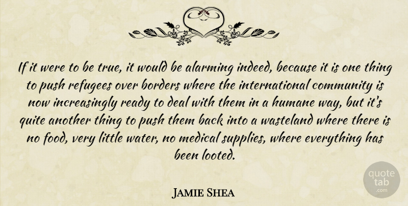 Jamie Shea Quote About Alarming, Borders, Community, Deal, Humane: If It Were To Be...