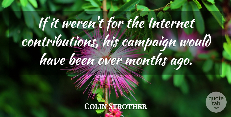 Colin Strother Quote About Campaign, Internet, Months: If It Werent For The...
