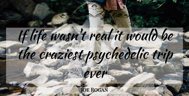Joe Rogan Quote About Real, Would Be, Psychedelic: If Life Wasnt Real It...