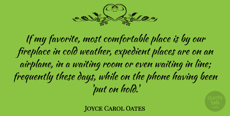 Joyce Carol Oates Quote About Airplane, Weather, Waiting In Line: If My Favorite Most Comfortable...