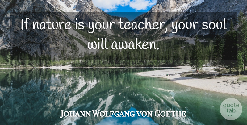 Johann Wolfgang von Goethe Quote About Teacher, Soul, Ifs: If Nature Is Your Teacher...