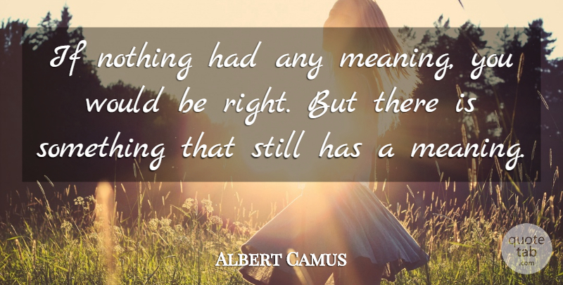Albert Camus Quote About Meaning Of Life, Would Be, Stills: If Nothing Had Any Meaning...