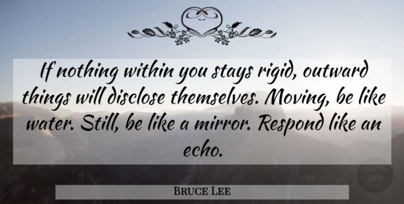 Bruce Lee Quote About Moving, Echoes, Mirrors: If Nothing Within You Stays...