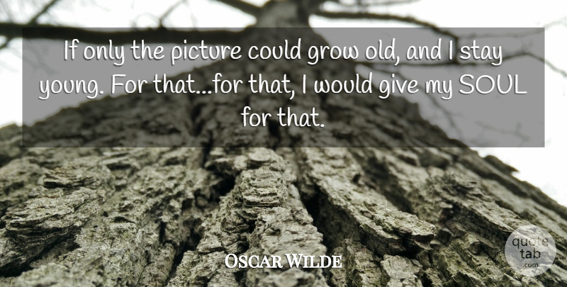 Oscar Wilde Quote About Vanity, Giving, Soul: If Only The Picture Could...
