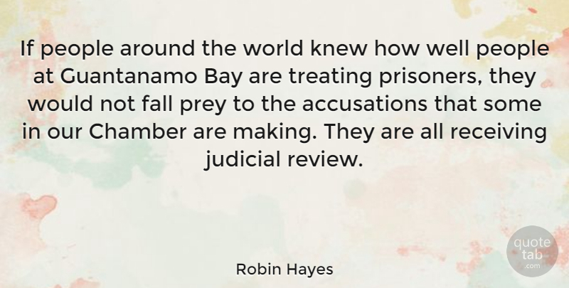 Robin Hayes Quote About Fall, People, Judicial Review: If People Around The World...