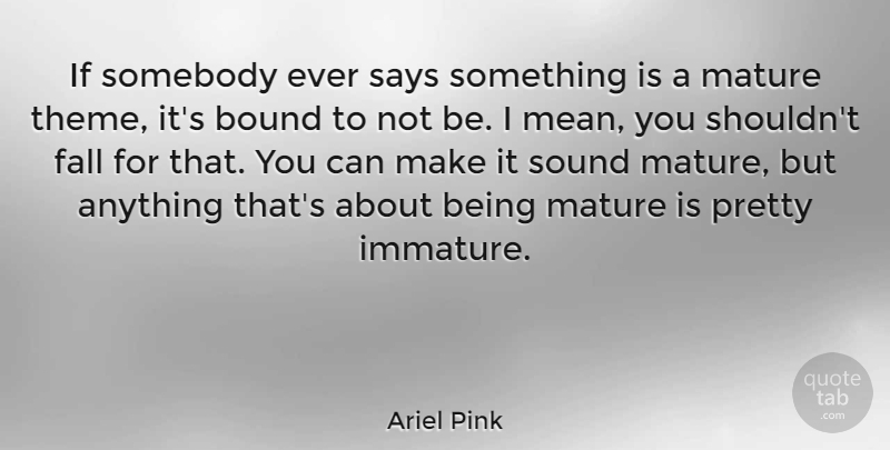 Ariel Pink Quote About Fall, Mean, Immature: If Somebody Ever Says Something...