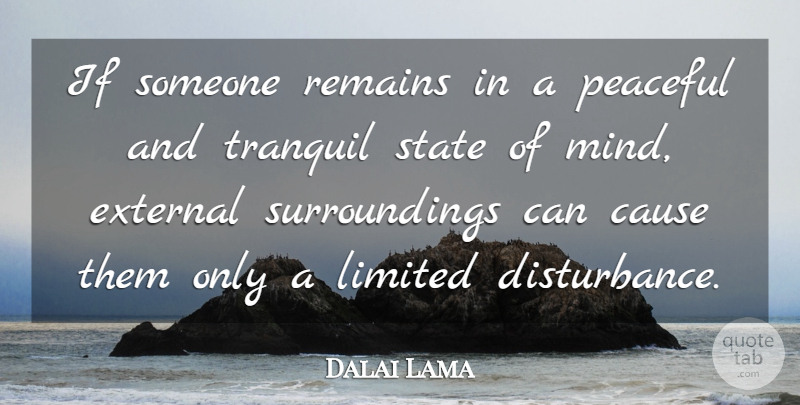 Dalai Lama Quote About Peaceful, Mind, Causes: If Someone Remains In A...