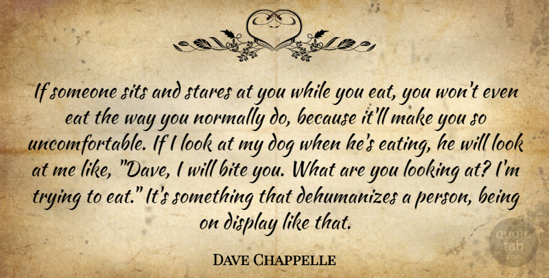 Dave Chappelle Quote About Dog, Trying, Looks: If Someone Sits And Stares...