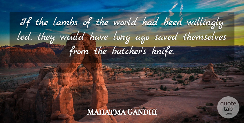 Mahatma Gandhi Quote About Long Ago, Knives, World: If The Lambs Of The...