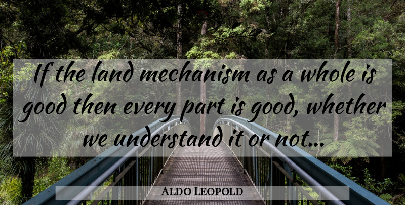 Aldo Leopold Quote About Land, Tinkering, Cogs: If The Land Mechanism As...