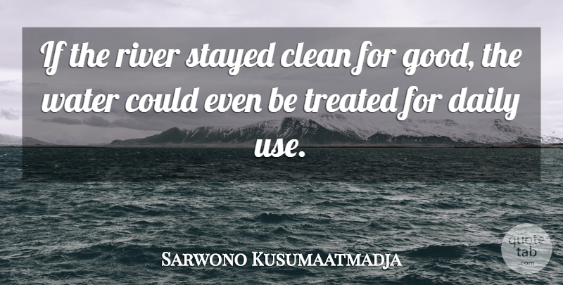 Sarwono Kusumaatmadja Quote About Clean, Daily, River, Stayed, Treated: If The River Stayed Clean...