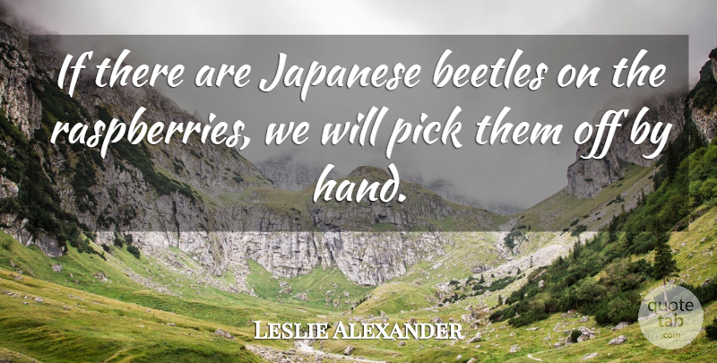 Leslie Alexander Quote About Japanese, Pick: If There Are Japanese Beetles...