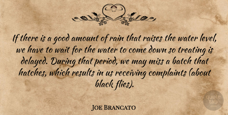 Joe Brancato Quote About Amount, Batch, Black, Complaints, Good: If There Is A Good...