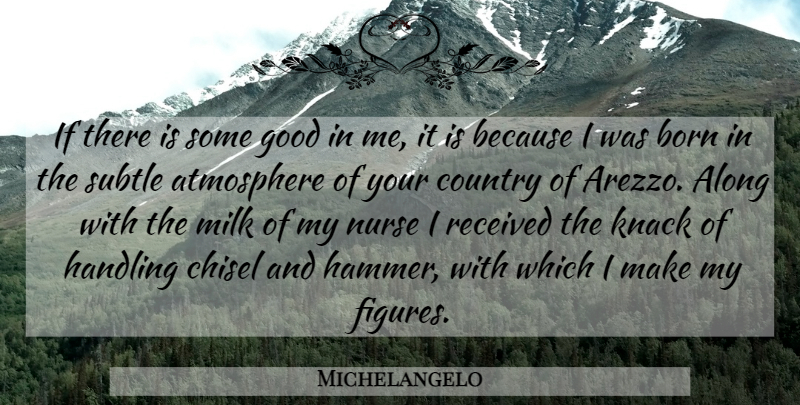 Michelangelo Quote About Country, Nurse, Atmosphere: If There Is Some Good...
