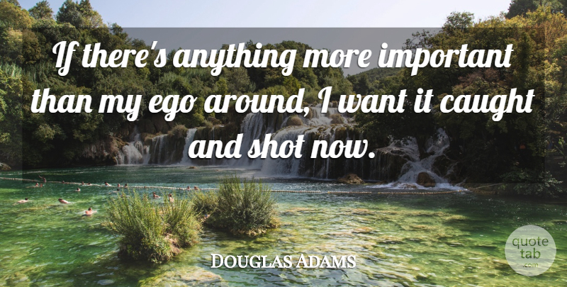 Douglas Adams Quote About Ego, Important, Want: If Theres Anything More Important...