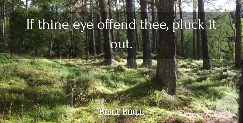 Bible Bible Quote About Eye, Offend, Pluck, Thine: If Thine Eye Offend Thee...